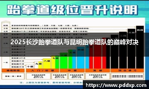 2025长沙跆拳道队与昆明跆拳道队的巅峰对决